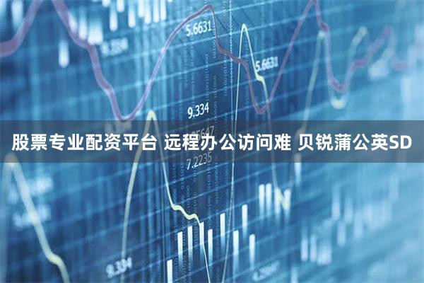 股票专业配资平台 远程办公访问难 贝锐蒲公英SD