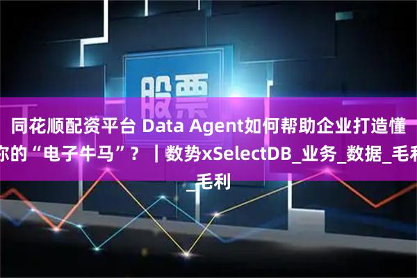 同花顺配资平台 Data Agent如何帮助企业打造懂你的“电子牛马”？｜数势xSelectDB_业务_数据_毛利